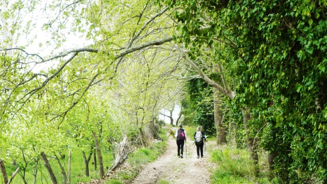 WANDERUNGEN & FAHRRADFAHREN